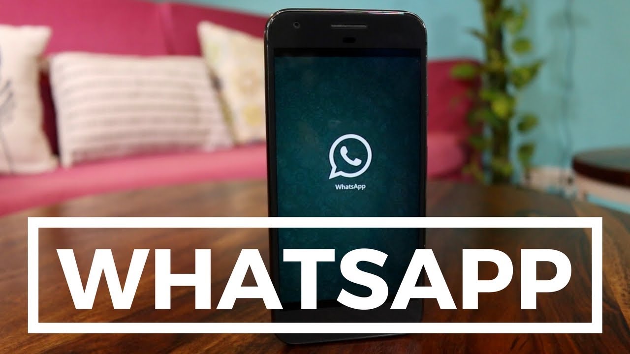 10 Cool Android Apps,  Android Apps for WhatsApp User, whatsapp, amazing whatsapp, security for whatsapp, whatsapp security app, whatsapp download, whatsapp plus download, whatsapp theme download